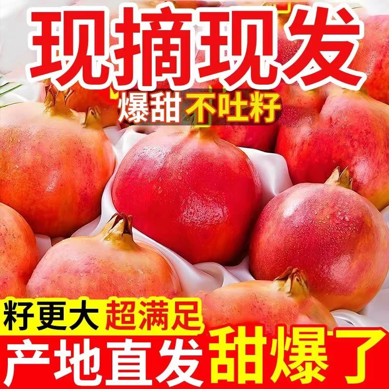 【越南小月专属2】四川会理突尼斯软籽石榴 爆甜多汁 4.5-8斤装