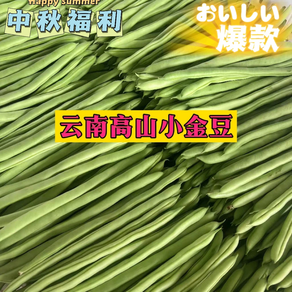 农家自种新鲜豆子应季蔬菜新鲜采摘四季豆颗粒小金豆