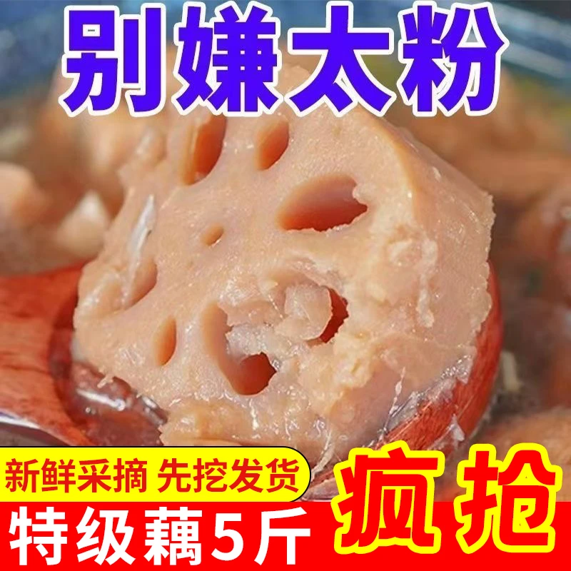 5斤洪湖粉藕莲藕煲汤藕新鲜现挖现发糯米藕炖汤九孔藕湖北莲藕