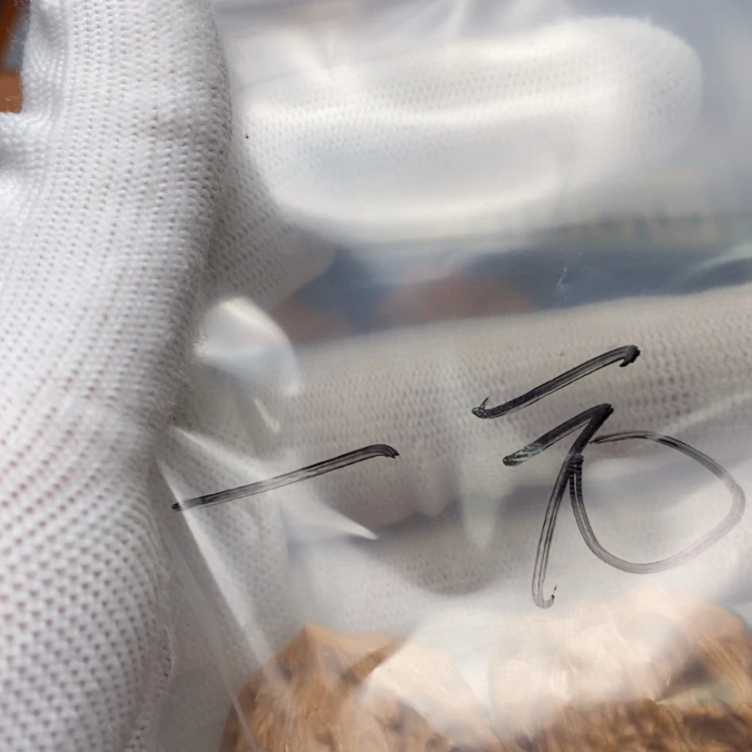 【闪购商品】文玩核桃吊坠当****常袋子