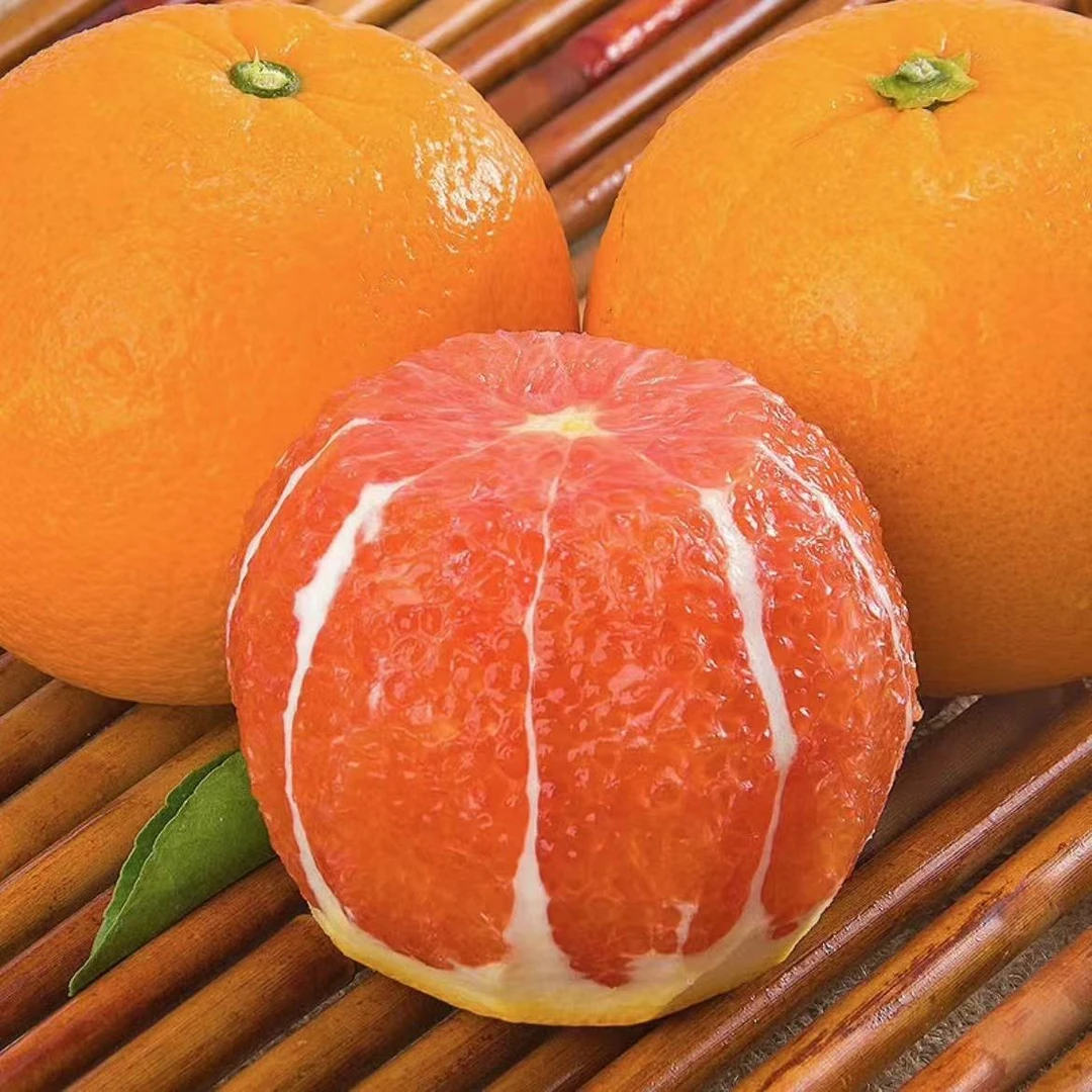 【枫香悠果】中华红橙5斤 新鲜应季橙子