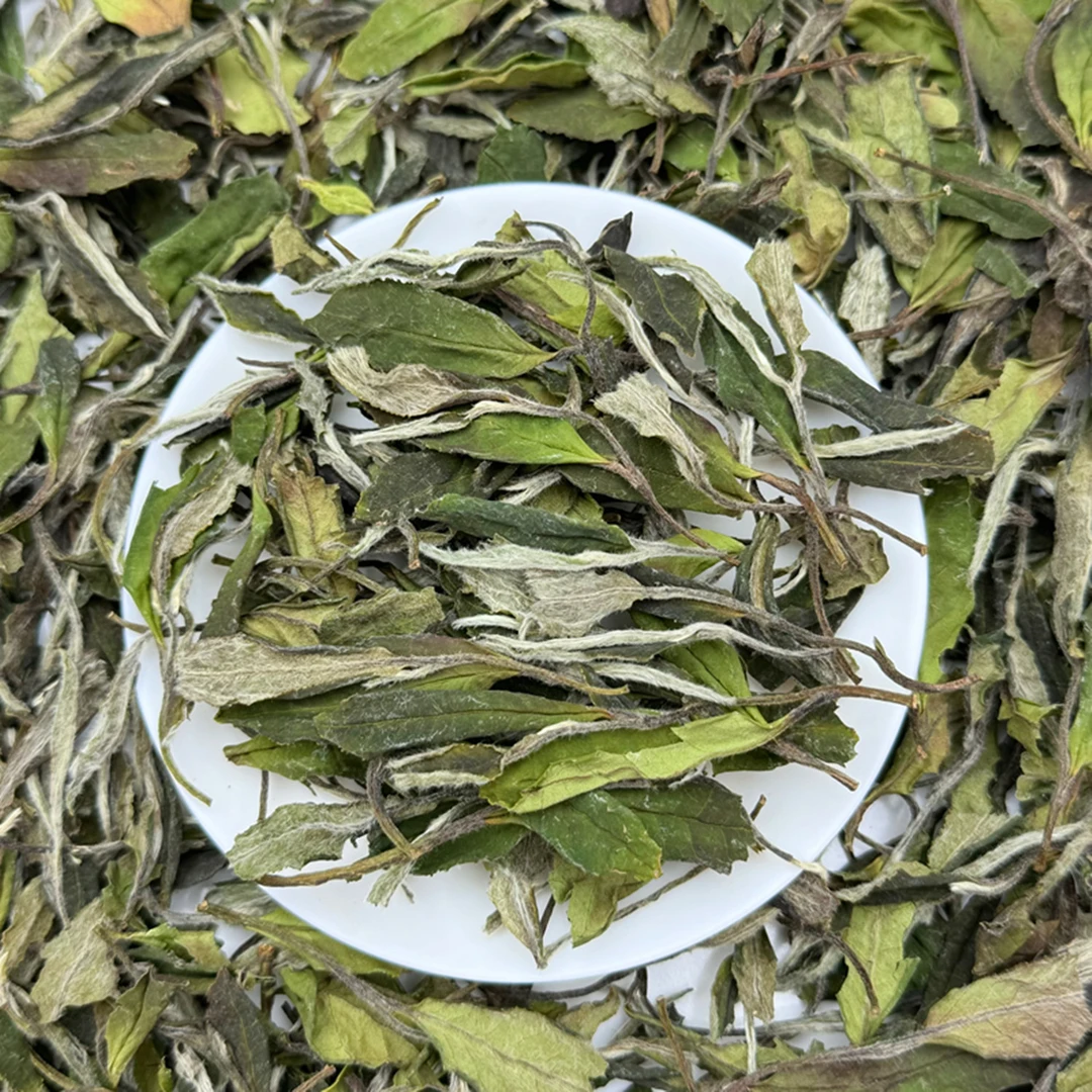 【福鼎磻溪南广村】一级春寿眉2024年高山核心产区