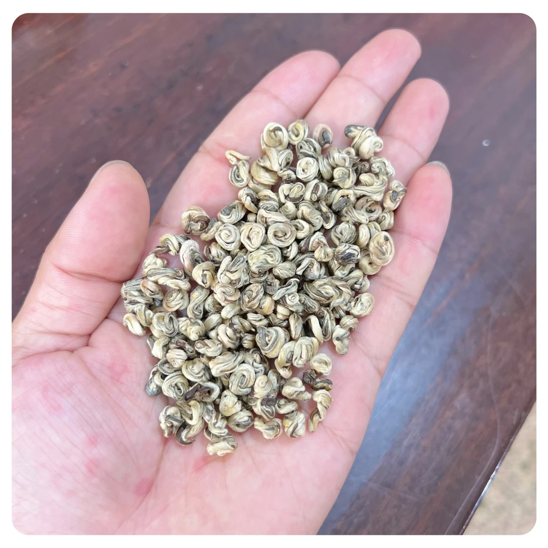 王大鹏2023新茶茉莉小玉螺4窨春茶浓香型250克罐装