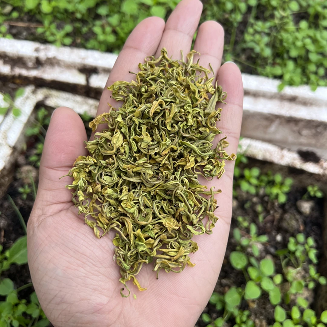 2023手工黄金奶白高山茶奶香型白茶250克罐装