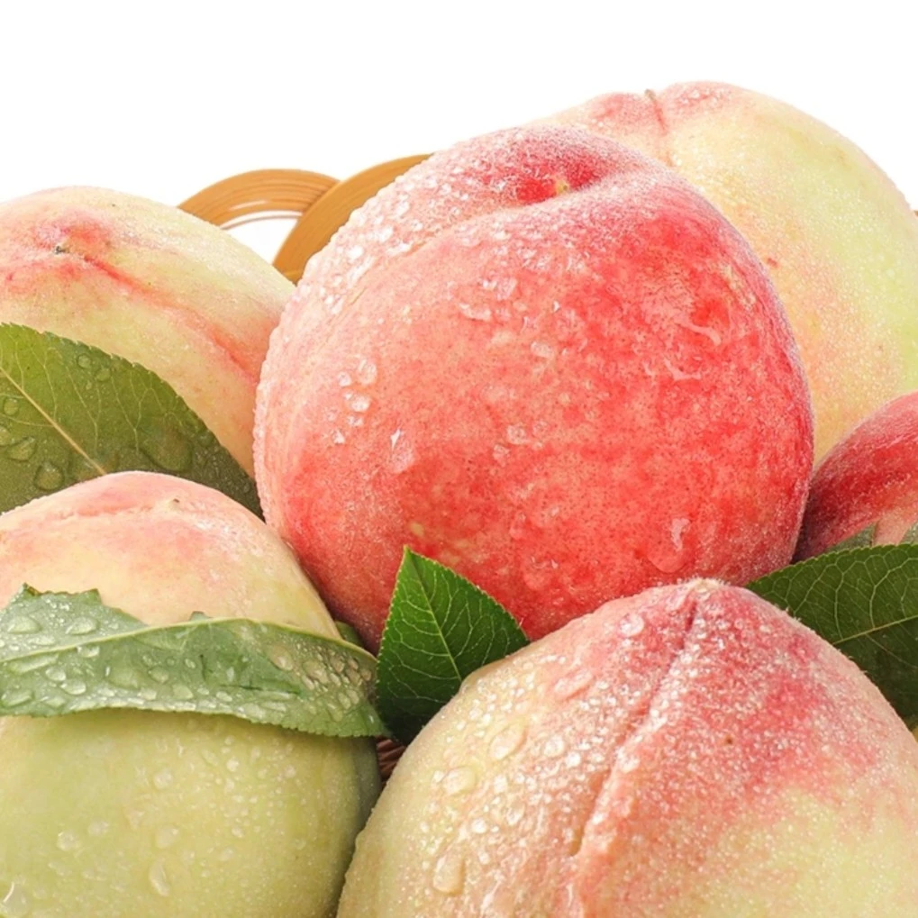 （省内包邮）兰州水磨沟白凤桃9枚（精品大果）