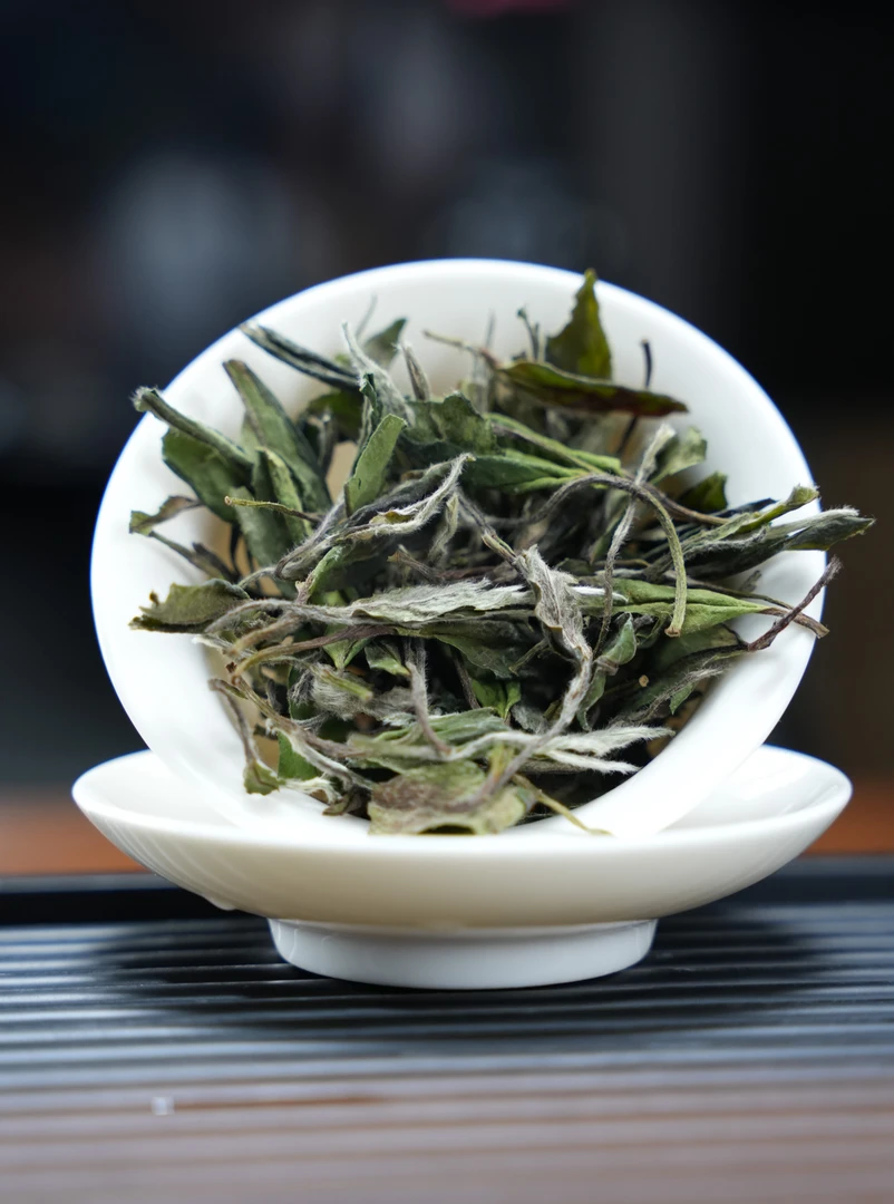 花香春寿眉 福鼎白茶2024年精选品质高货新茶寿眉