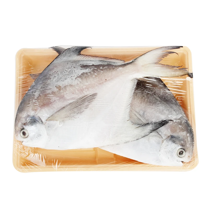 平鱼（大）400g—500g
