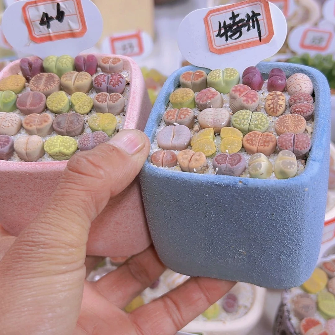 【闪购商品】1111111111111