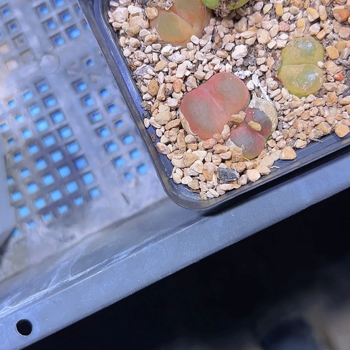 岁***见111111111111