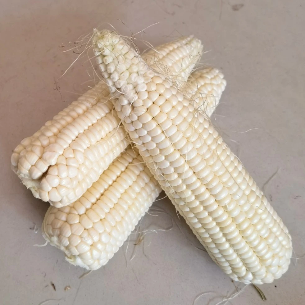 农家【鲜糯玉米】米妹