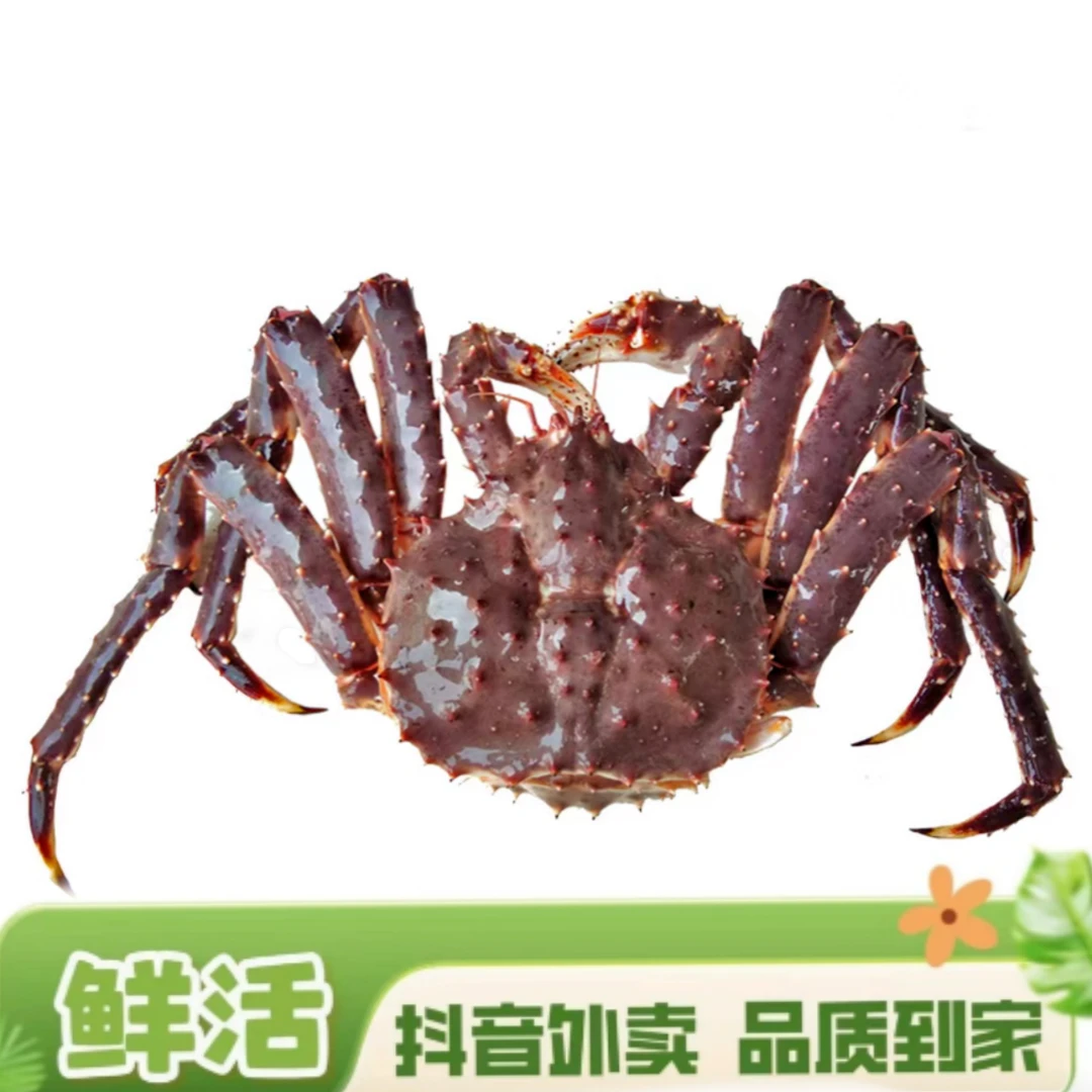 鲜活帝王蟹2.3斤~6斤多规格