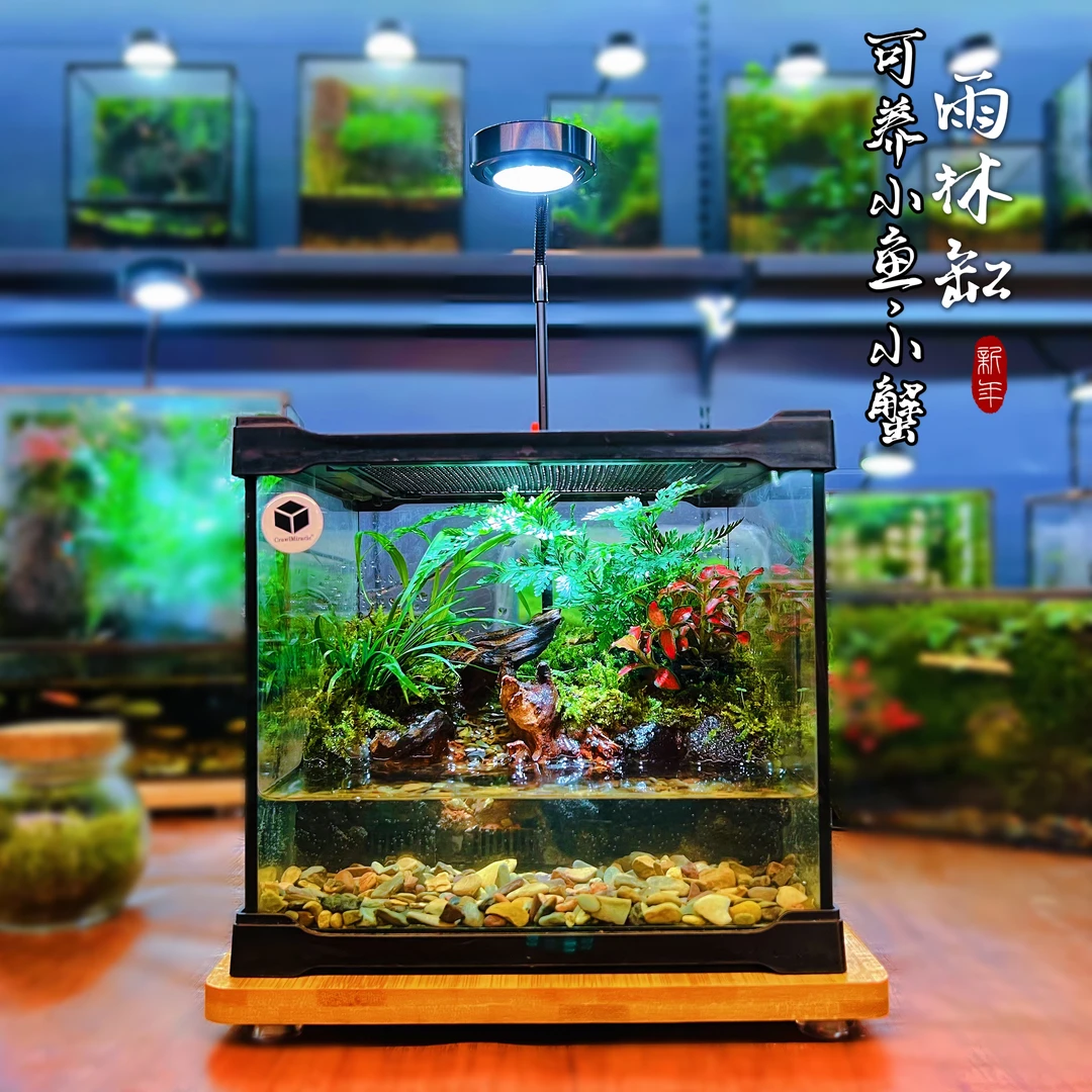 鱼蟹龟雨林缸桌面绿植摆件小森林苔藓微景观