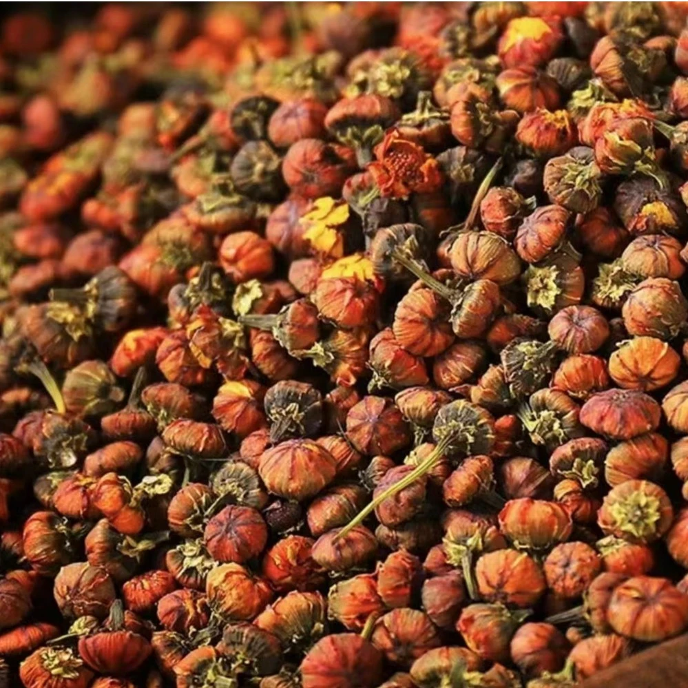 【宠粉福利】新疆昆仑胎菊