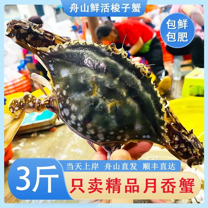 A【顺丰发货】4-6两只正宗舟山产地直发野生鲜活梭子蟹鲜活超大海蟹