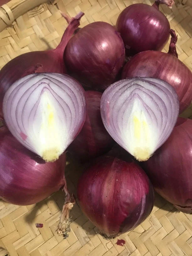 紫皮小洋葱农家自种蔬菜小圆葱头应季生吃