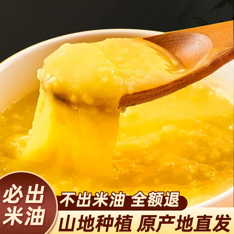 【荣荣家的山地新小米】| 陕北农家羊粪种植黄小米 1斤/3斤/5斤