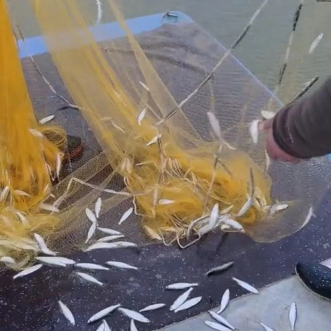 鱼线单丝小密眼老式传统手撒网铅坠手抛网