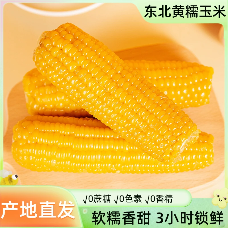 【福利10根】东北小黄糯真空包装单只150g-200g左右饱满香甜新鲜