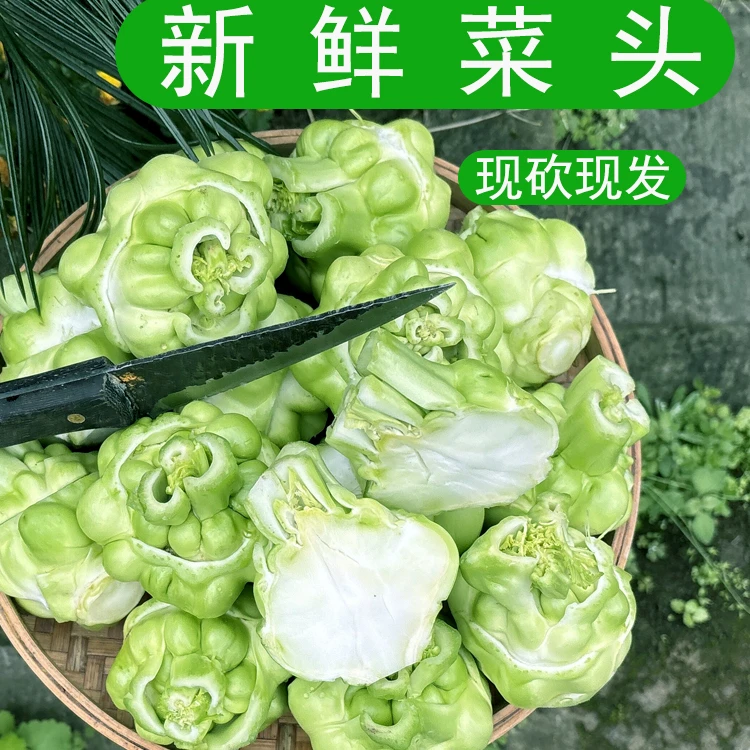 农家自种生榨菜头新鲜青菜头涪陵榨菜原料菱角菜羊角菜芥菜坨坨菜