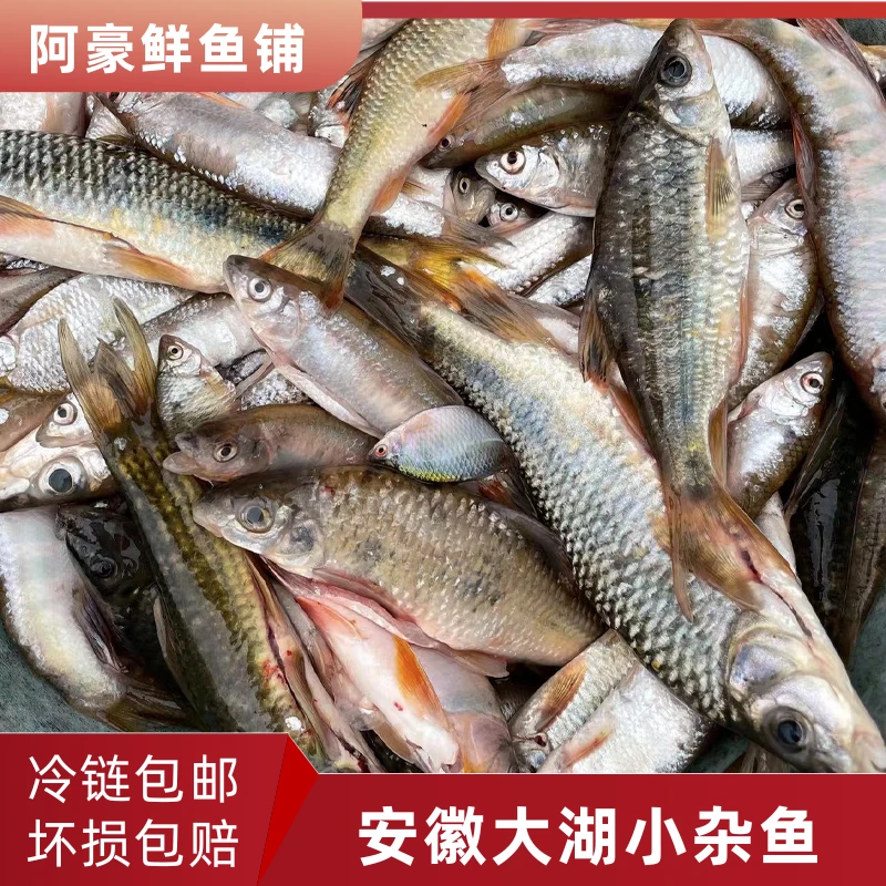 【2号链接称重改价拍了不退】现挑现称现拍一物一拍杀好京东发货，鱼