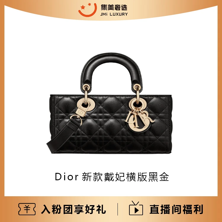 未使用 DIOR/迪奥 新款戴妃横版小号黑金时尚百搭包/全新/AM1814