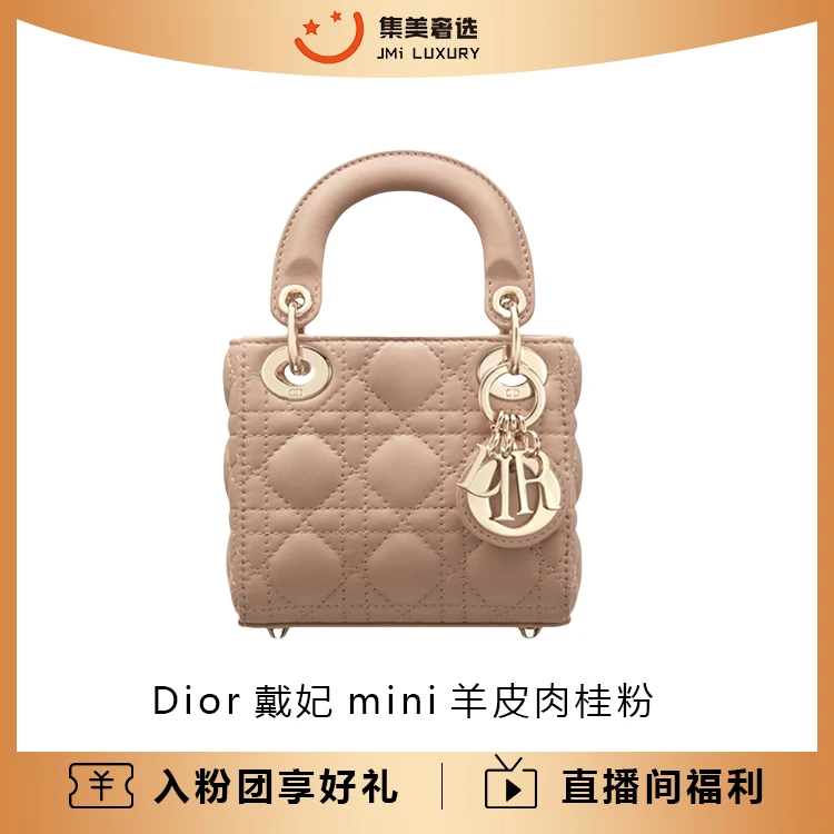 99新 DIOR/迪奥 Dior戴妃mini羊皮肉桂粉时尚包/97新/JM5371