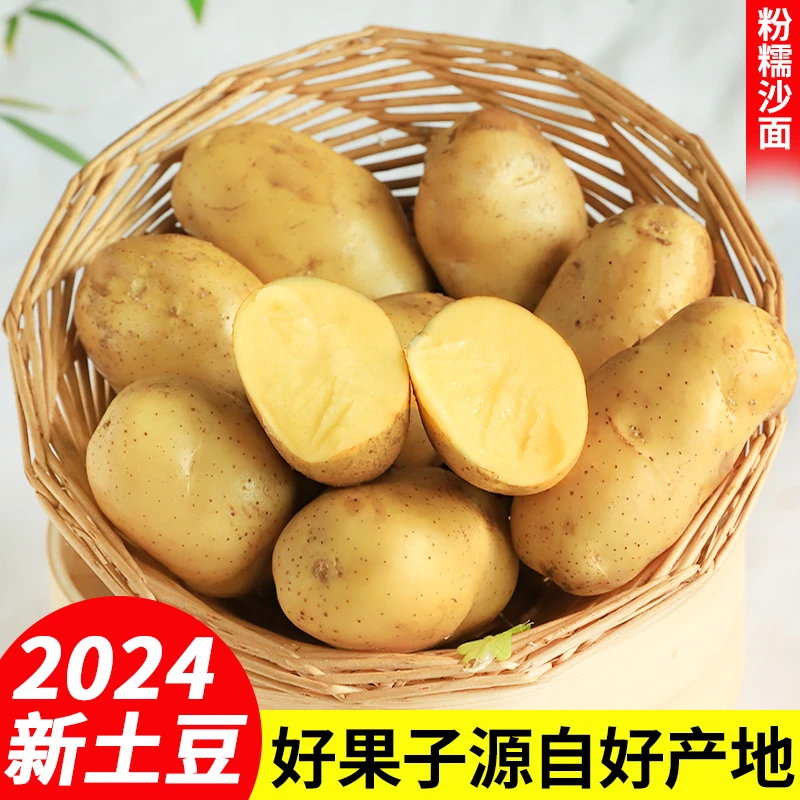 【产地直发】正宗山东黄皮黄心土豆家里种植基地现挖土豆洋芋