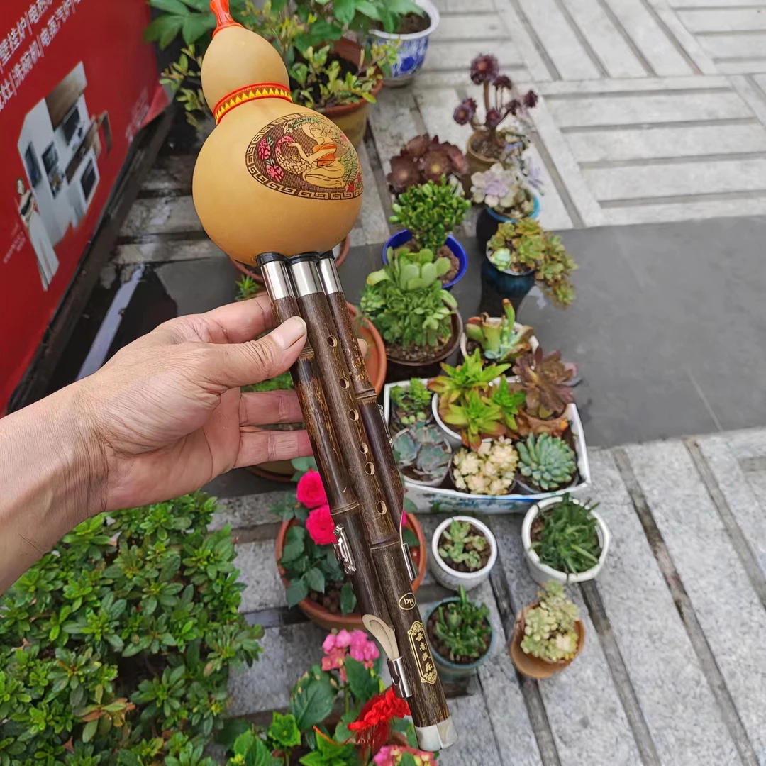 紫竹葫芦丝云南三音葫芦丝成人初学演奏降B调葫芦丝