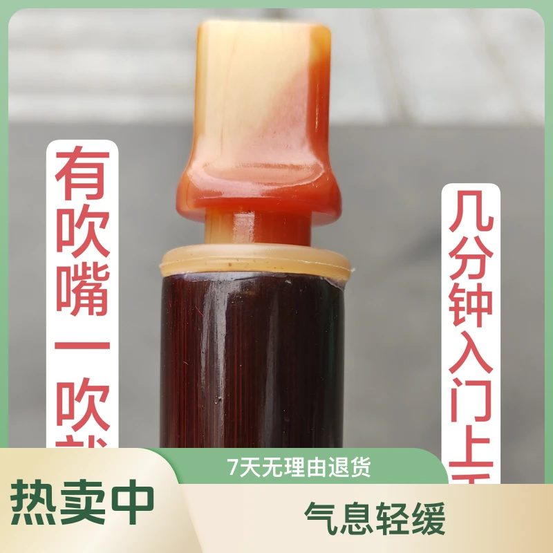 新手入门六孔竖笛简单易学乐器直笛顺笛竖笛