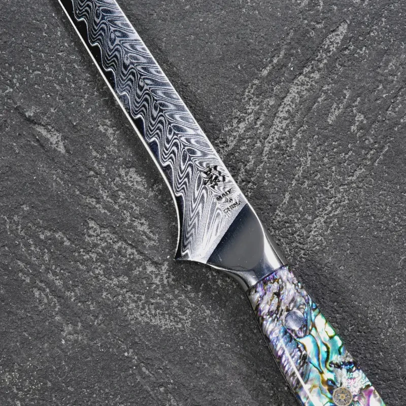 《影》大马士革钢高档剔骨鲍鱼壳树脂10CR15MOV家用水果刀