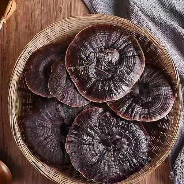 金边灵芝正品整枝红灵芝精选赤灵芝泡酒茶林芝灵芝片干货