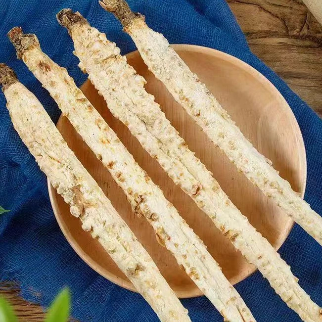沙参节沙参鲜煲汤料沙参中药材麦冬沙生玉竹