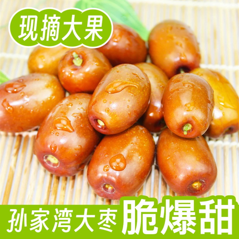 小果朝阳大枣孙家湾北山平顶甜枣鲜枣红枣正宗现摘新枣脆枣特产