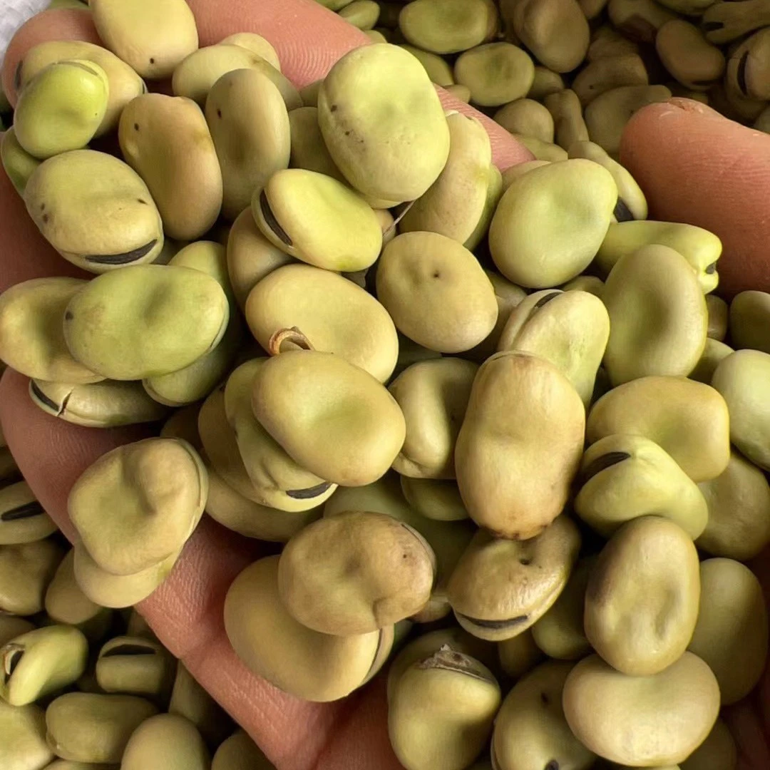 湖北荆州农家自种小籽干豌豆可炒香酥豌豆油盐豌豆