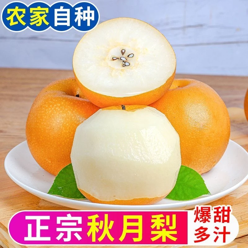 【于有为专属】莱阳正宗秋月梨爆甜多汁新鲜脆甜皮薄肉厚细腻化渣