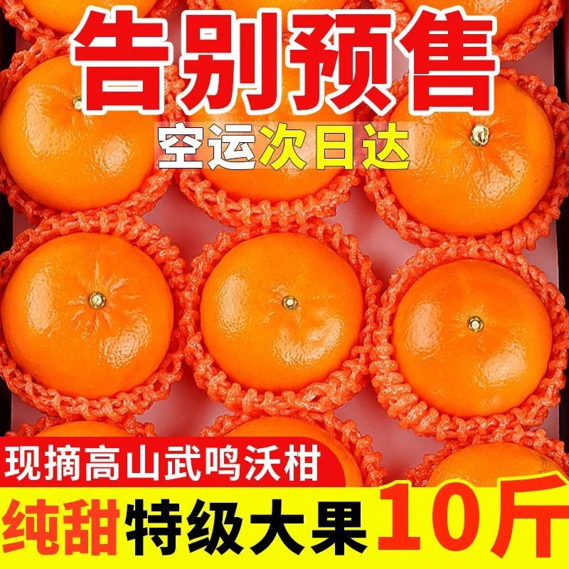 【精选沃柑】沃柑贵妃柑新鲜橘子水果应季水果薄皮桔子非广西武鸣