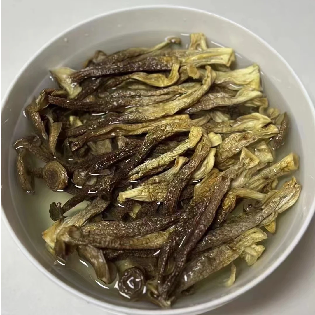 现收山货农家鹿茸菇