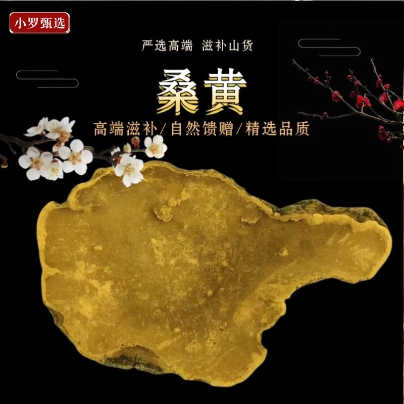 桑黄精选现收山货 50g~500g 云南山货   LL