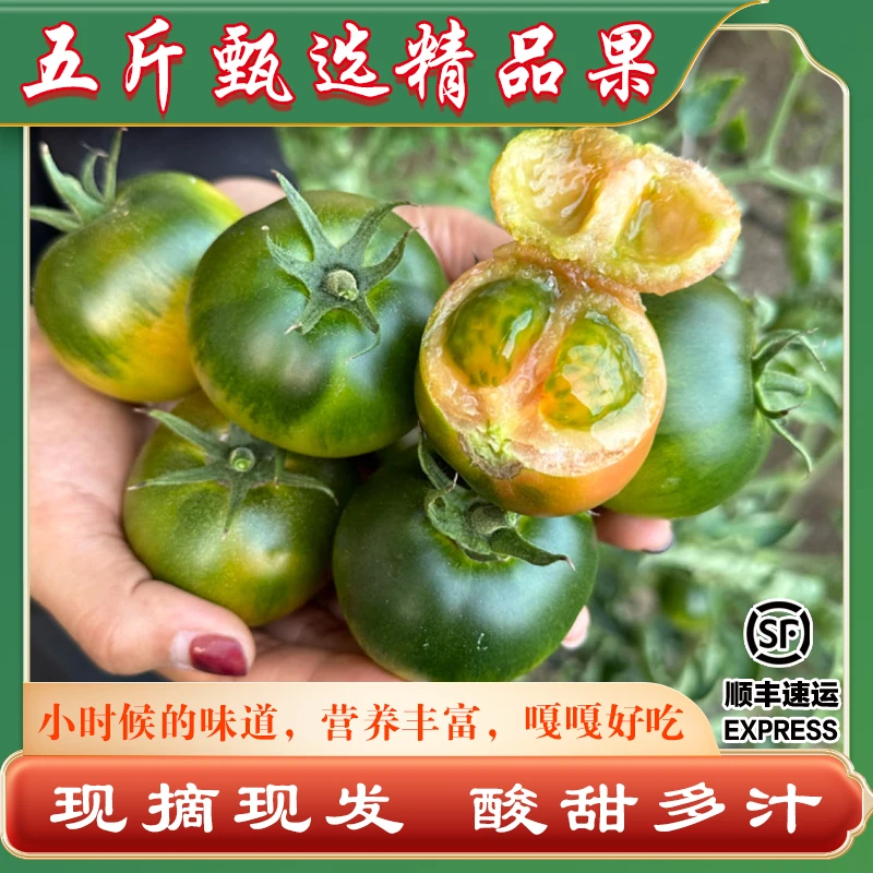 盘锦碱地柿子铁皮柿子草莓柿子精品5斤顺丰包邮