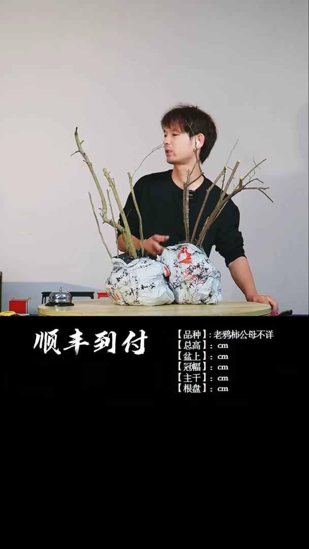 【闪购商品】1X378老鸦柿公母不详bubaoyou