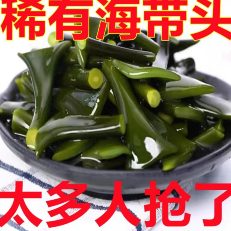 【太多人抢了】特厚海带头精选鲜嫩涮火锅凉拌菜霞浦新鲜盐渍海带头