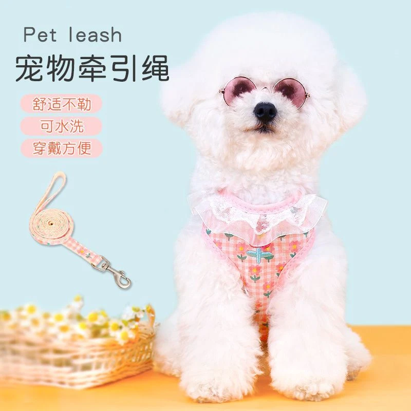 宠物牵引绳宠物外出防挣脱牵引绳喵咪胸背溜猫绳子猫狗皆可适用