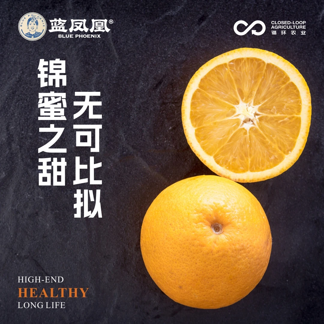 麻阳冰糖橙锦蜜冰糖橙纯甜无酸皮薄肉厚特价优惠价