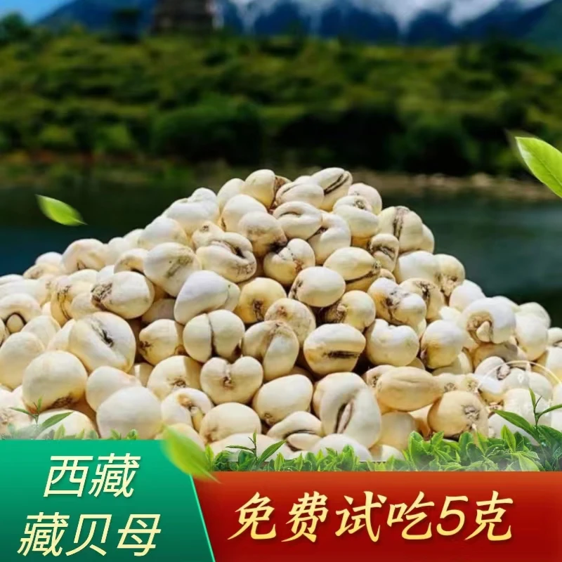 西藏高原农家贝母颗粒饱满50g/瓶