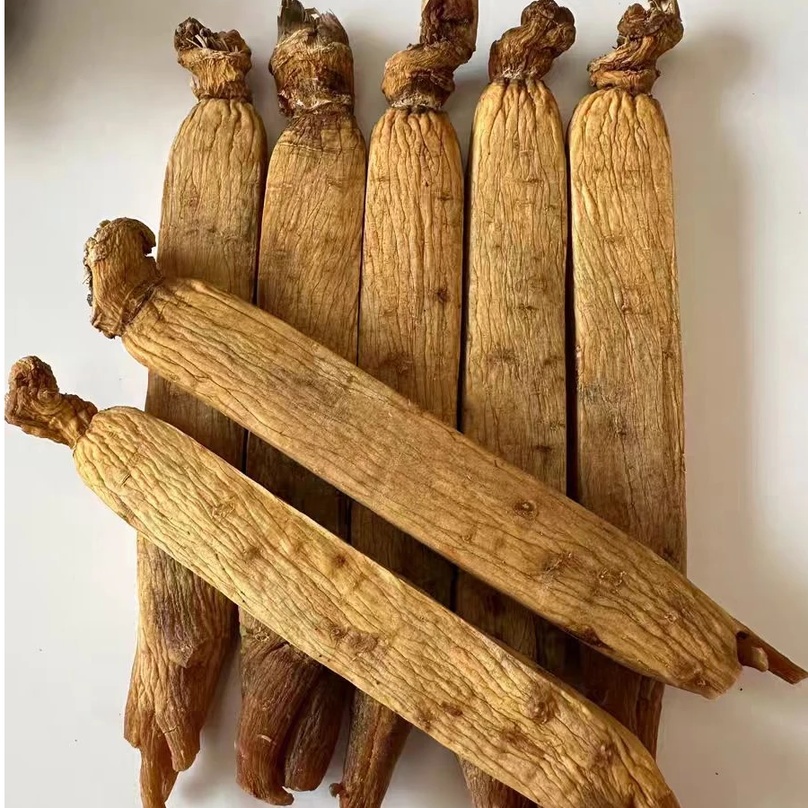 木滕堂高丽参 别直参 黄马褂 菊花芯菊花纹