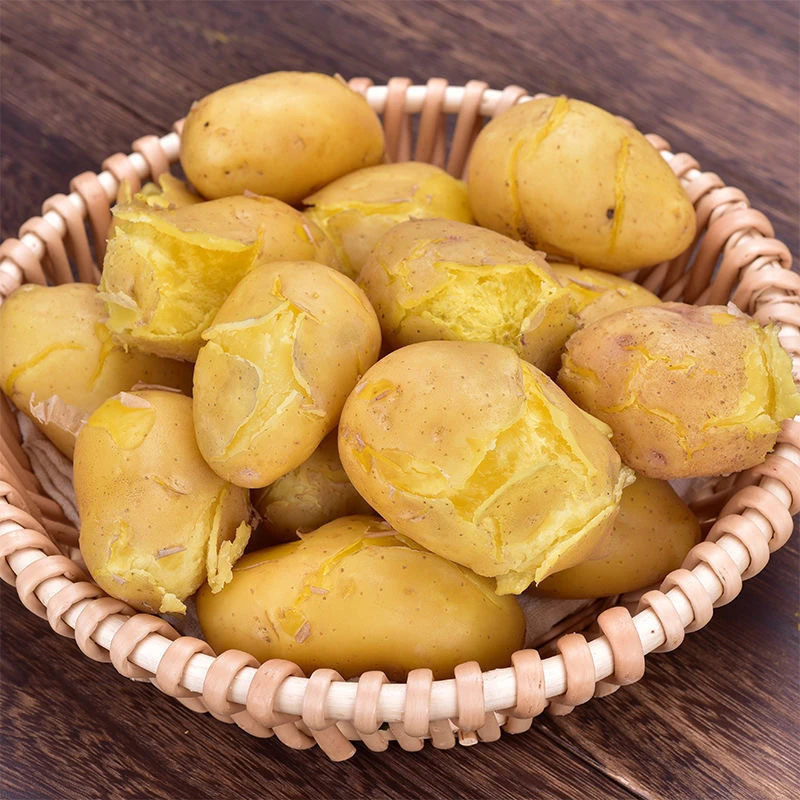 新土豆新鲜纯东北土豆新鲜黄心土豆粉糯香面应季马铃薯正宗