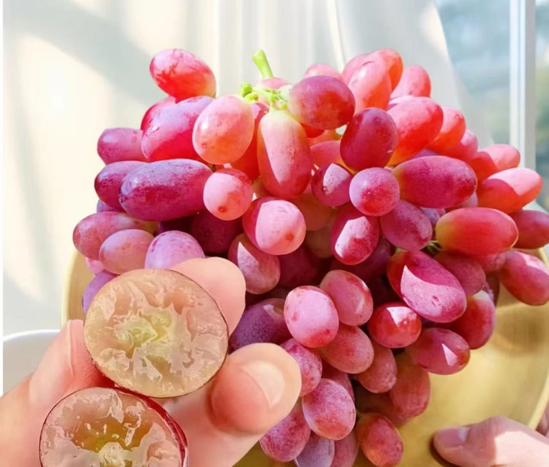 云南无籽脆红提（散称）