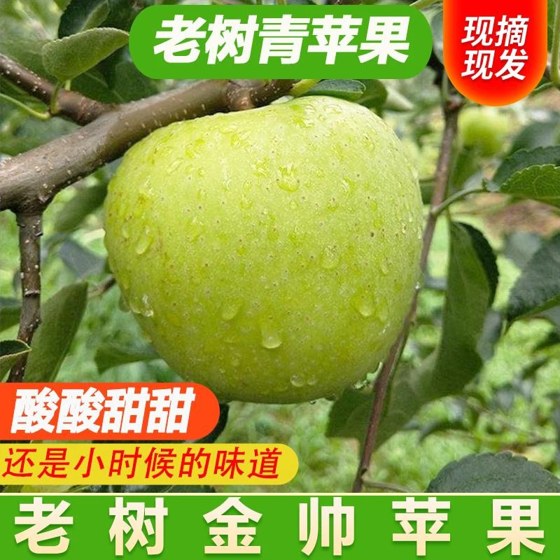 2024高山正宗黄元帅金帅青苹果新鲜现摘酸甜多汁4枚
