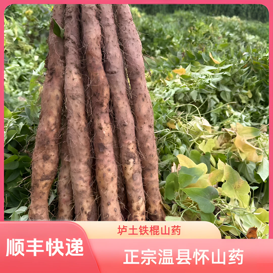 正宗温县怀山药垆土铁棍山药原产直发5斤装新鲜营养特产品质健康