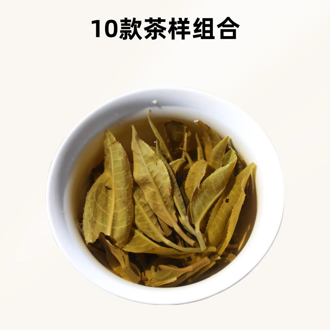 【10款茶样组合】4古树，4芽头，1款06年熟茶，1款15年生茶，品鉴组合10